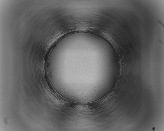 X0000101220346200807111102