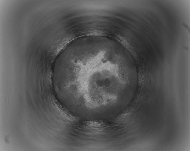 X0000101220347200807111102