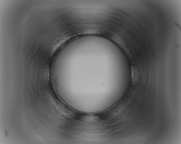 X0000101220348200807111102