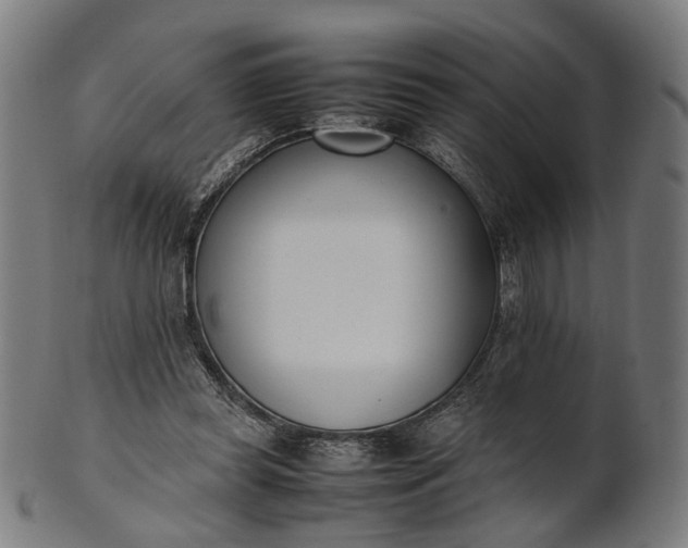 X0000101220349200807111102