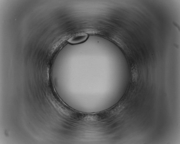 X0000101220350200807111102