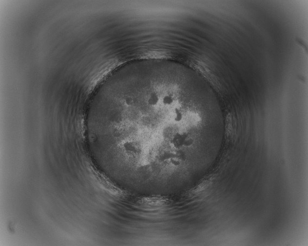 X0000101220351200807111102