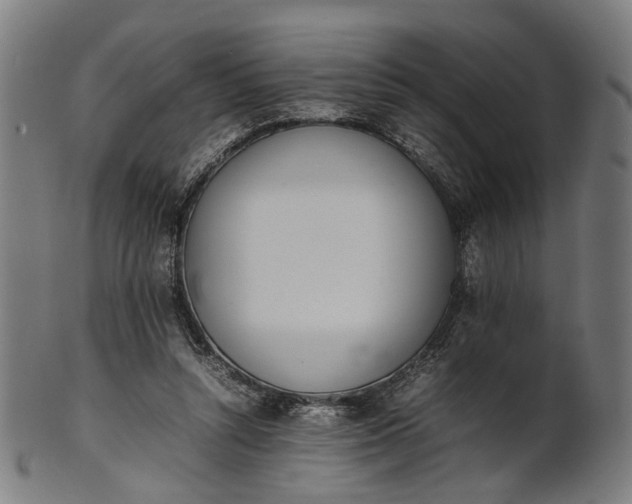 X0000101220352200807111102