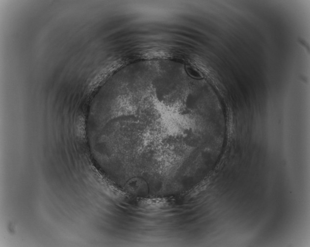 X0000101220353200807111102