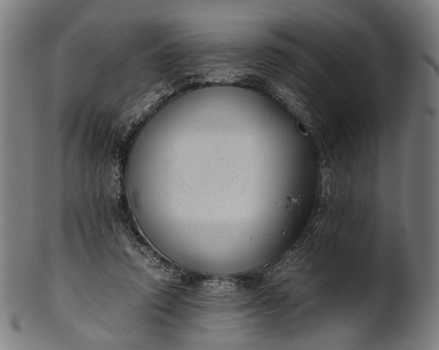 X0000101220354200807111102