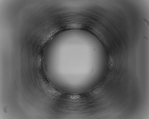 X0000101220355200807111102