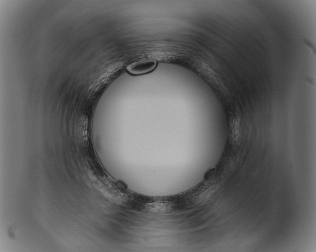 X0000101220356200807111102