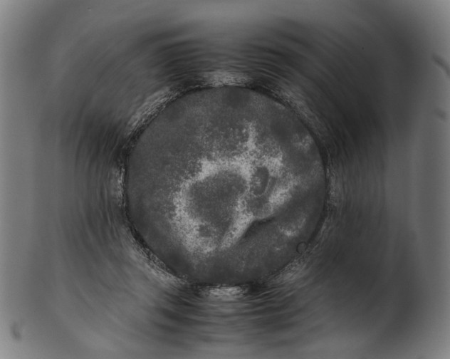 X0000101220357200807111102