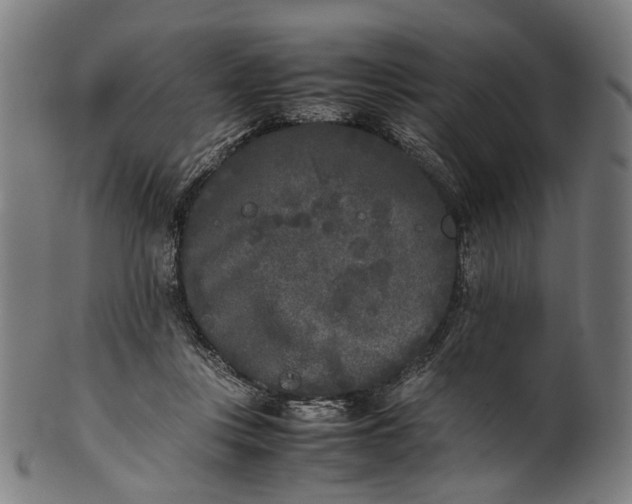 X0000101220359200807111102