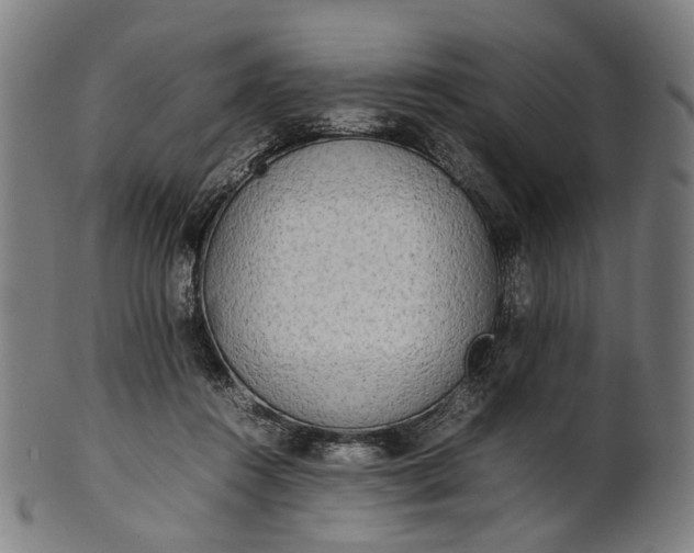 X0000101220360200807111102