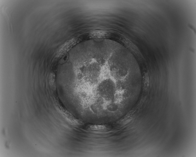 X0000101220361200807111102