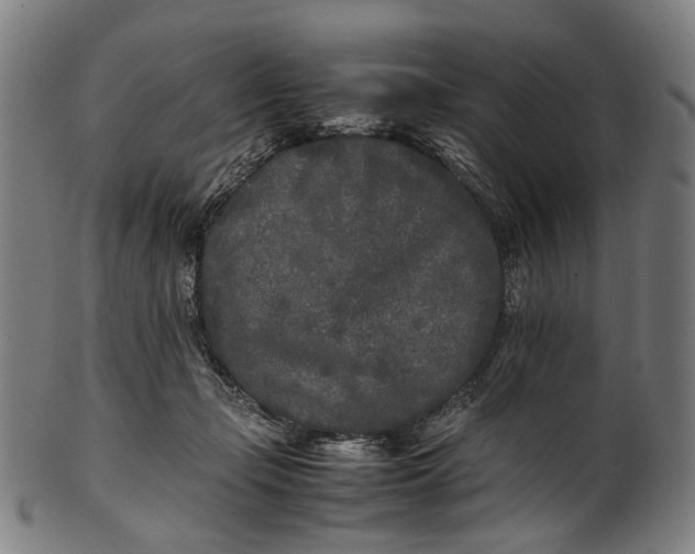 X0000101220365200807111102