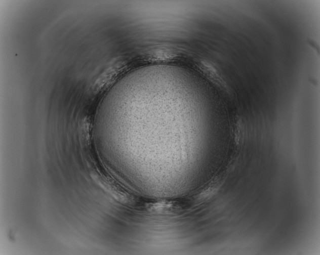 X0000101220366200807111102