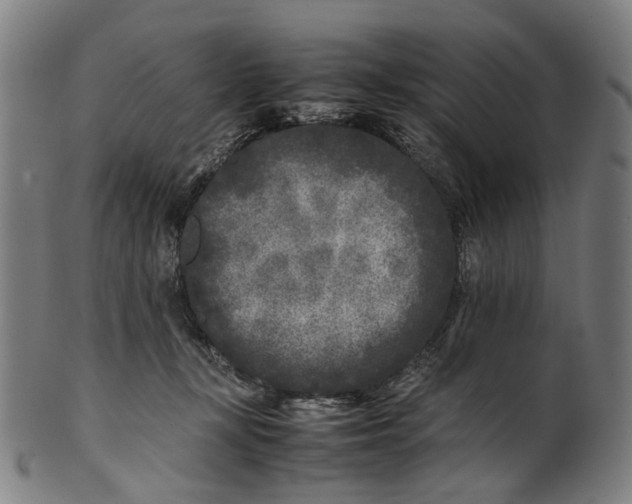 X0000101220367200807111102