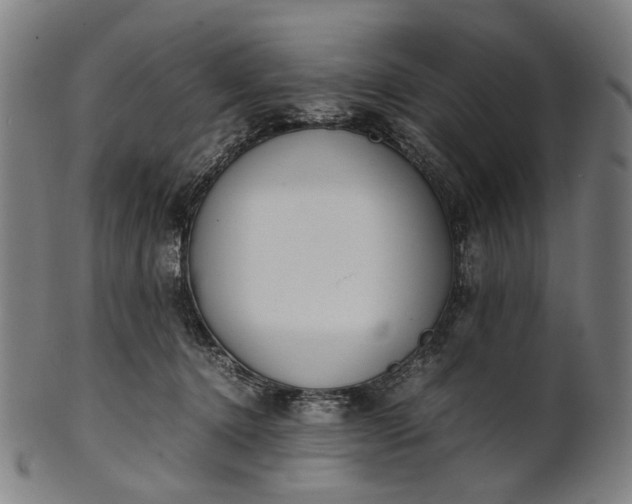 X0000101220368200807111102