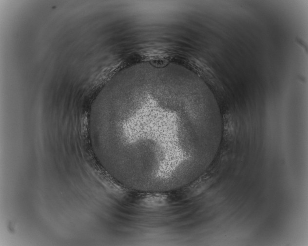 X0000101220369200807111102