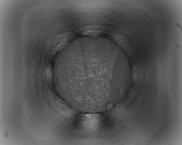 X0000101220371200807111102