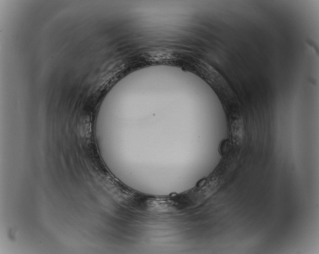 X0000101220372200807111102
