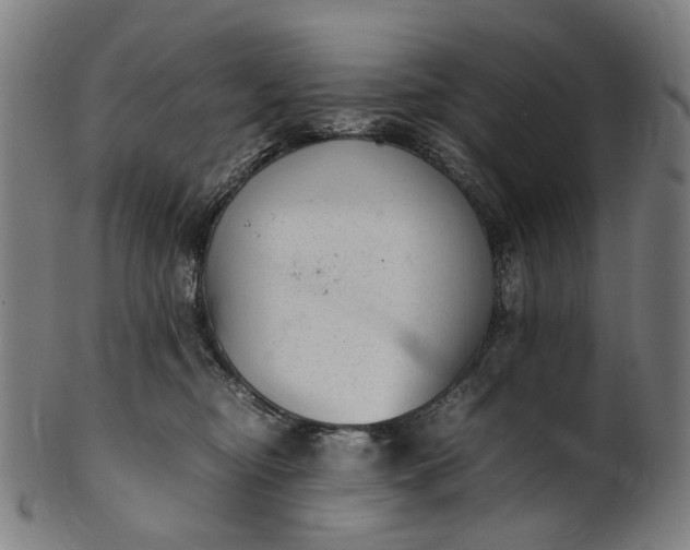 X0000101220374200807111102