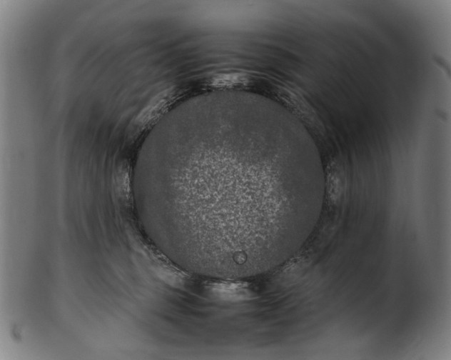 X0000101220375200807111102