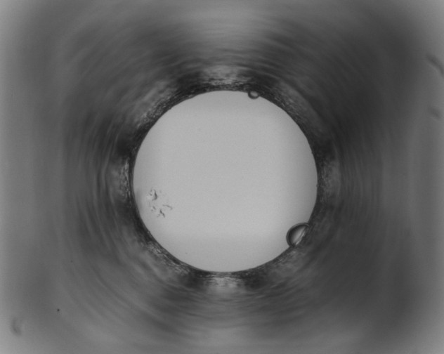 X0000101220376200807111102