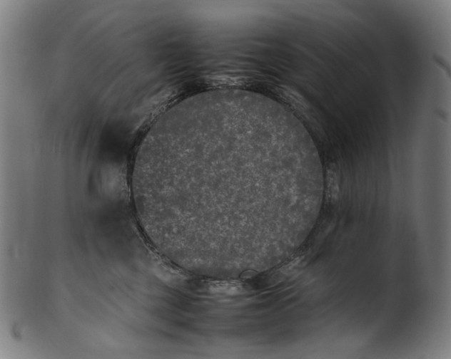 X0000101220377200807111102