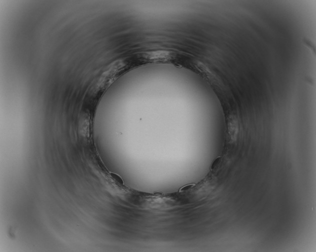 X0000101220379200807111102