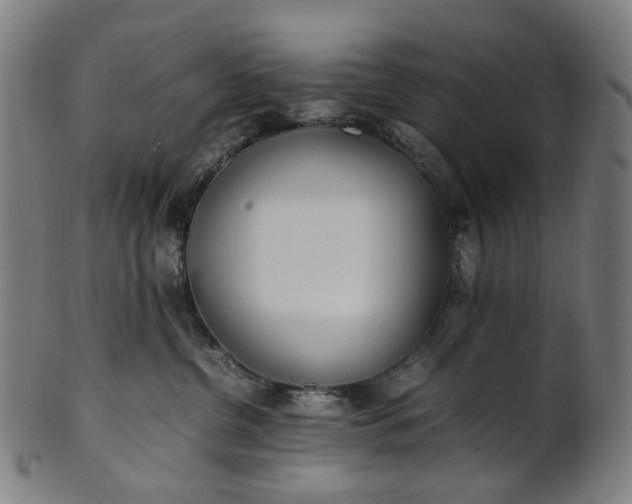 X0000101220380200807111102