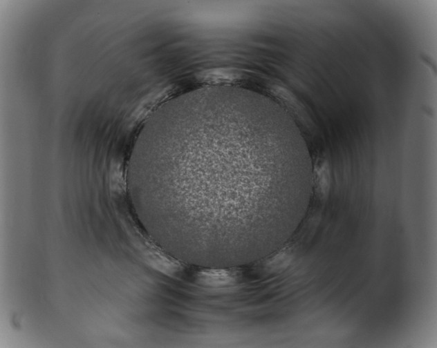 X0000101220381200807111102