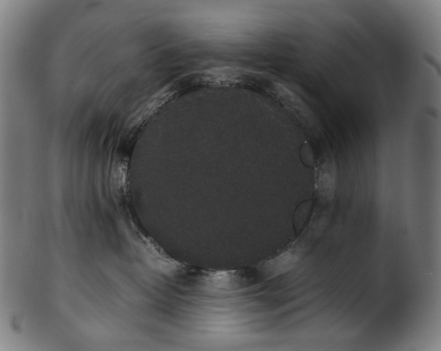 X0000101220382200807111102