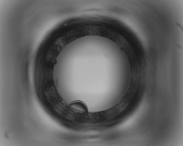 X0000101220383200807111102