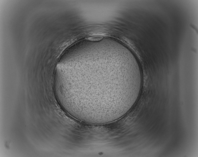 X0000101220385200807111102