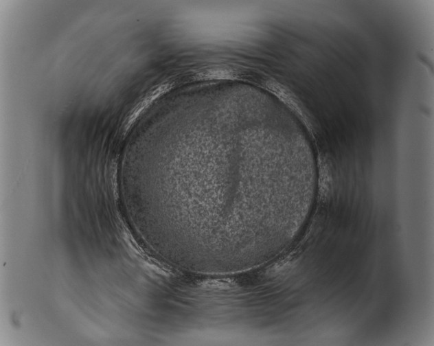 X0000101220386200807111102