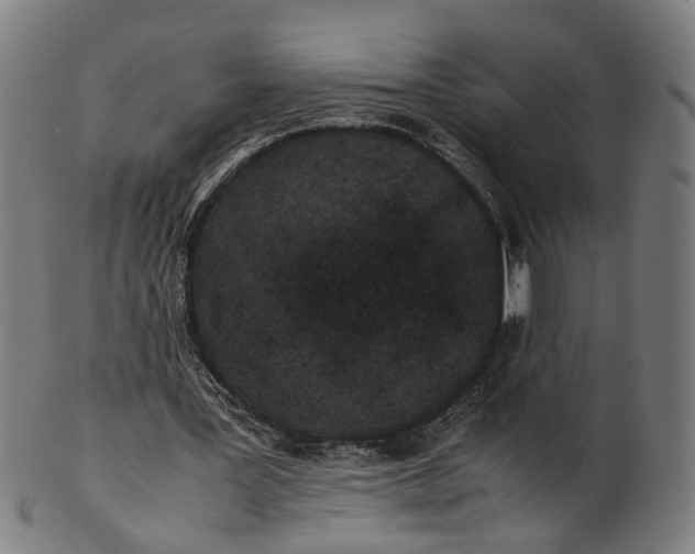 X0000101220387200807111102