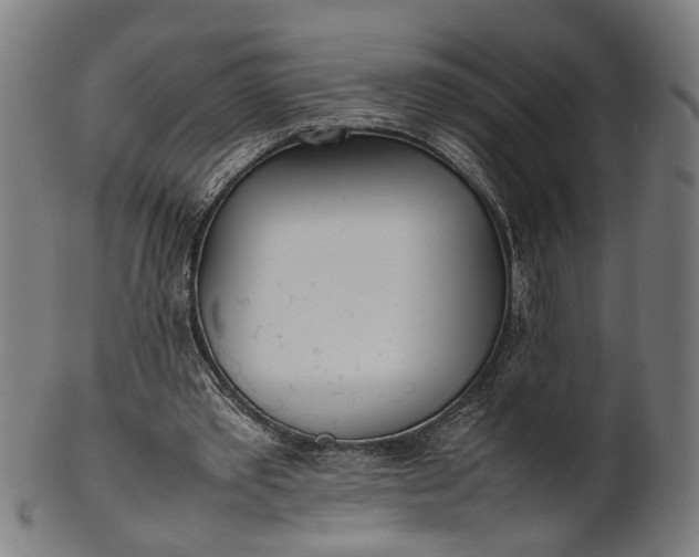 X0000101220389200807111101