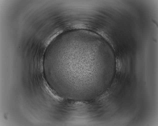 X0000101220390200807111101