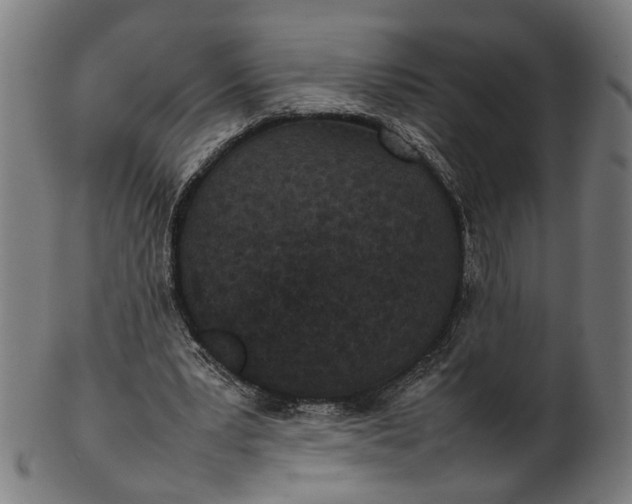 X0000101220391200807111101