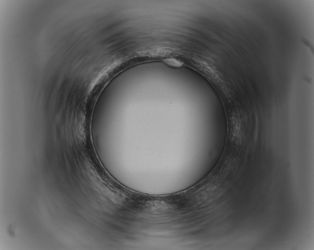 X0000101220392200807111101