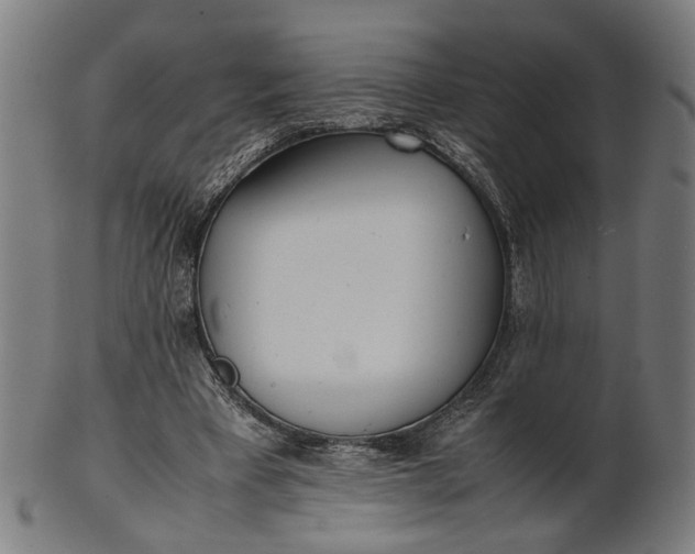 X0000101220393200807111101