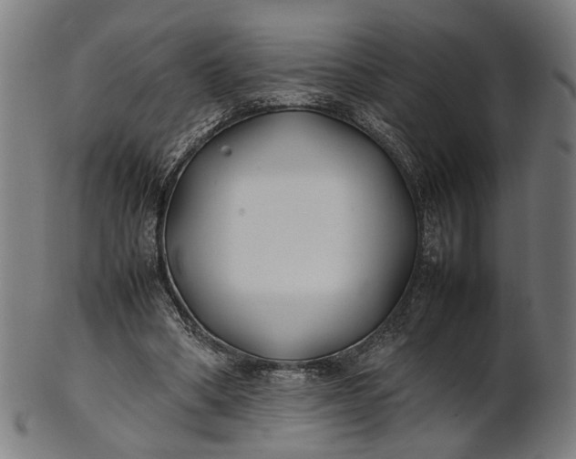 X0000101220394200807111101