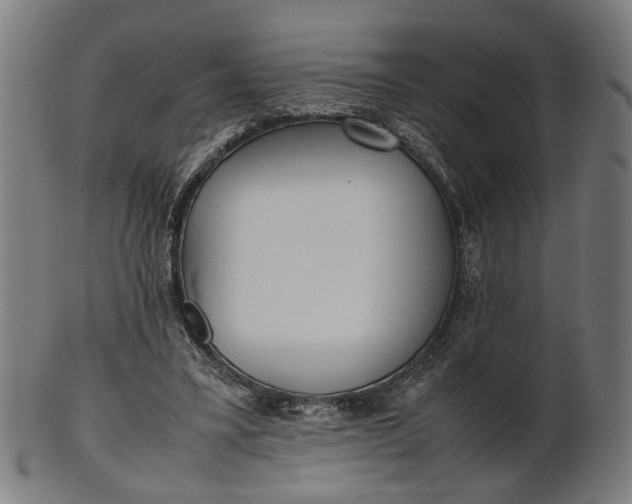 X0000101220395200807111101