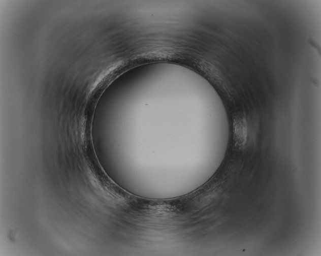 X0000101220396200807111101