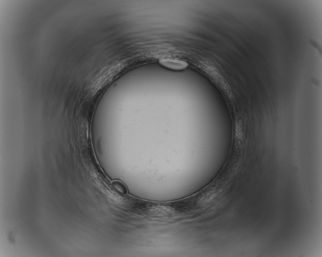 X0000101220397200807111101