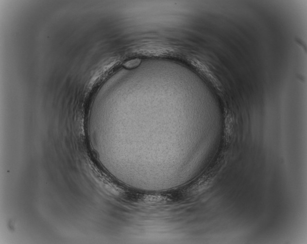 X0000101220399200807111101