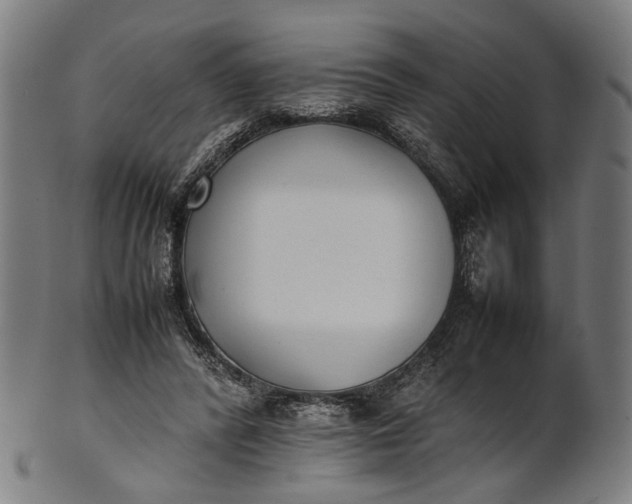X0000101220400200807111101
