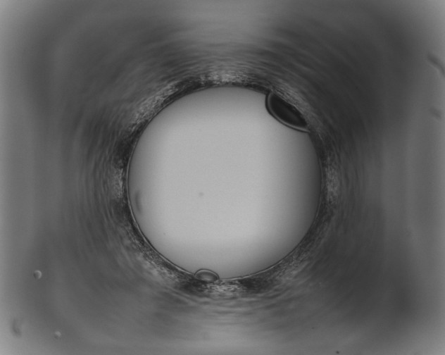 X0000101220401200807111101