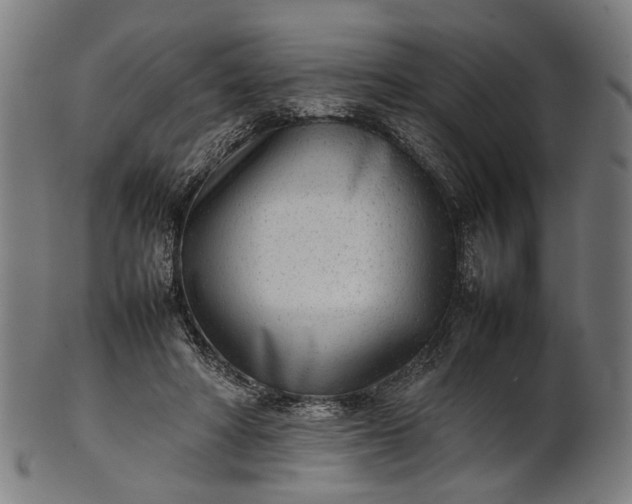 X0000101220402200807111101