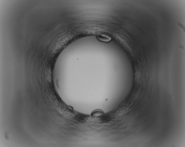 X0000101220403200807111101