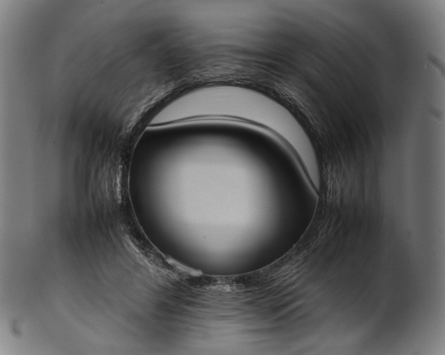 X0000101220404200807111101