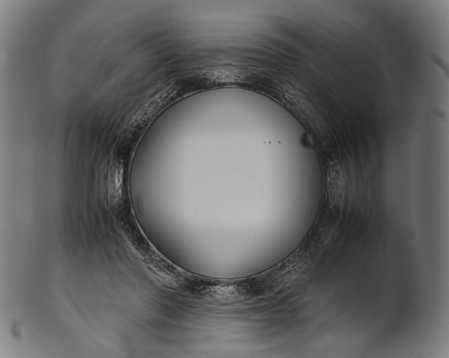 X0000101220406200807111101
